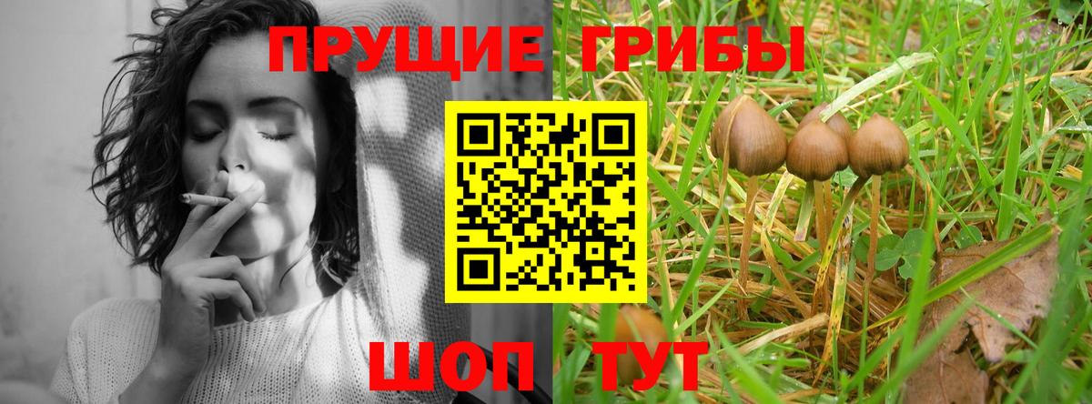 Псилоцибиновые грибы мицелий  Вход с VPN  наркота  Гусь-Хрустальный 